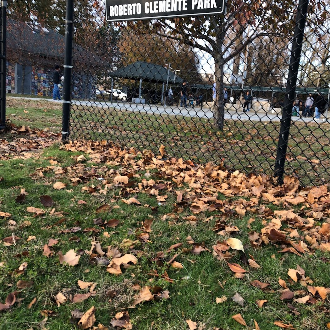 Roberto Clemente Park 1